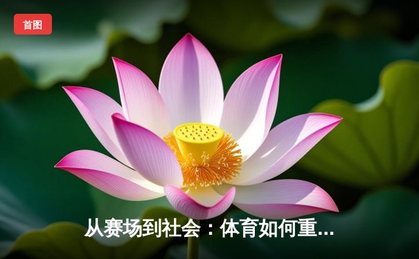 从赛场到社会：体育如何重塑我们的集体认同与未来想象