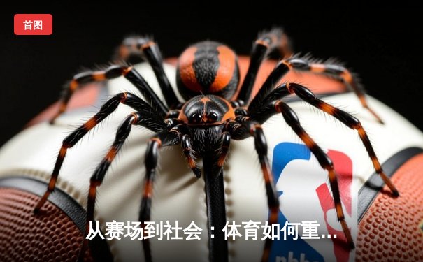 从赛场到社会：体育如何重塑我们的集体认同与未来想象